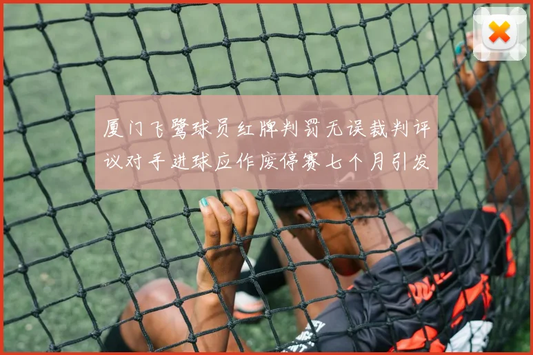 厦门飞鹭球员红牌判罚无误裁判评议对手进球应作废停赛七个月引发热议